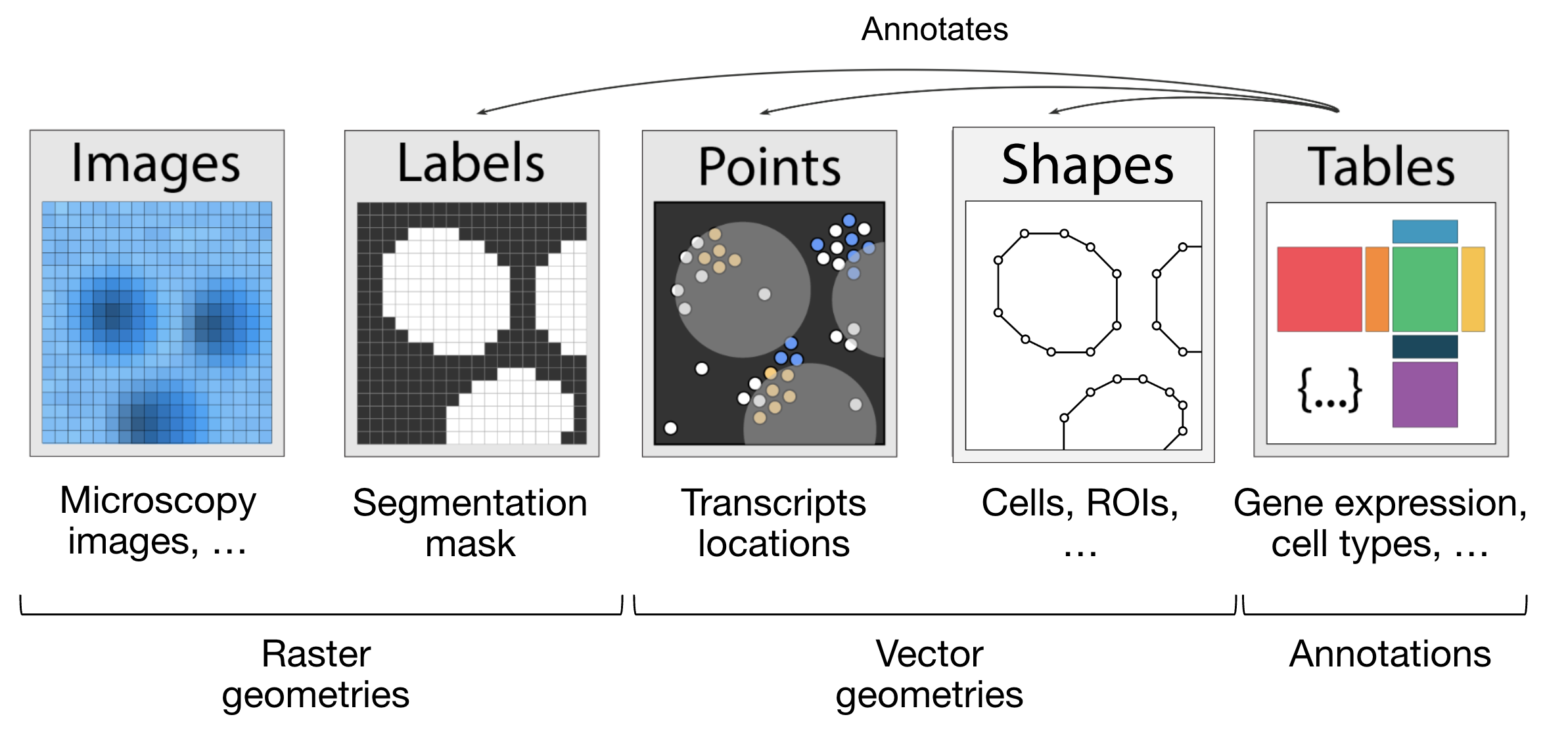Overview of SpacialData's elements