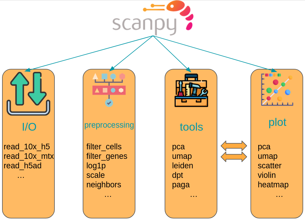 scanpy API