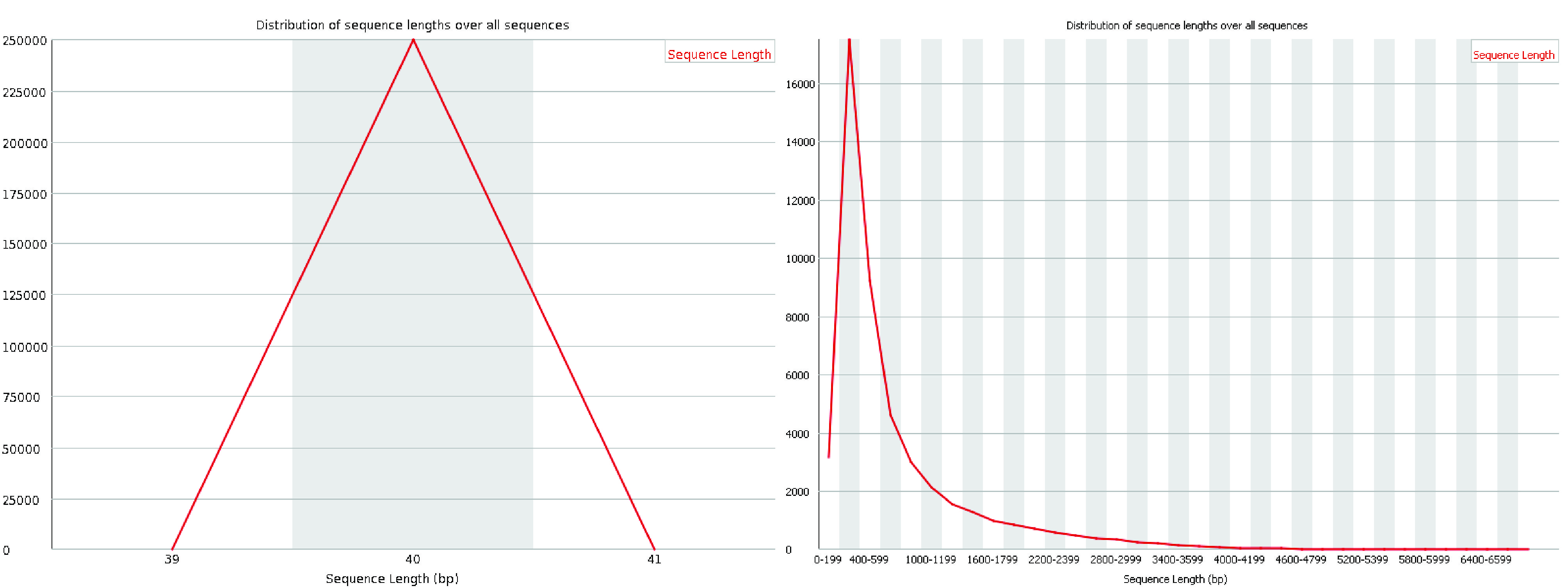 Sequence Length Distribution