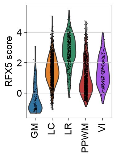 <Figure size 257.84x240 with 1 Axes>