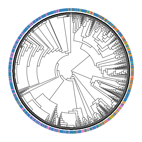 <Figure size 504x504 with 1 Axes>