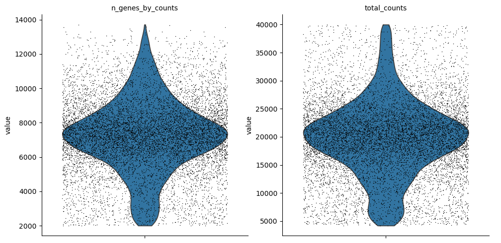 <Figure size 1011.11x500 with 2 Axes>