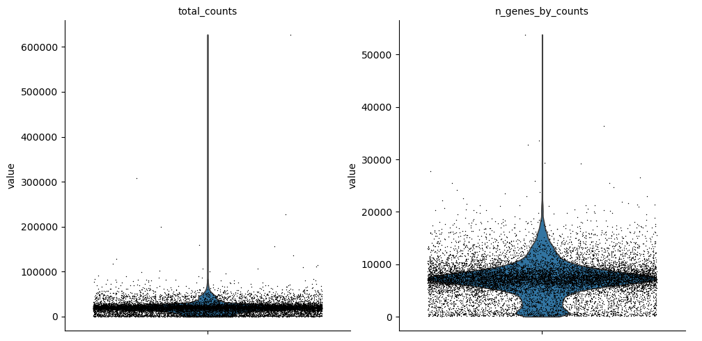 <Figure size 1011.11x500 with 2 Axes>