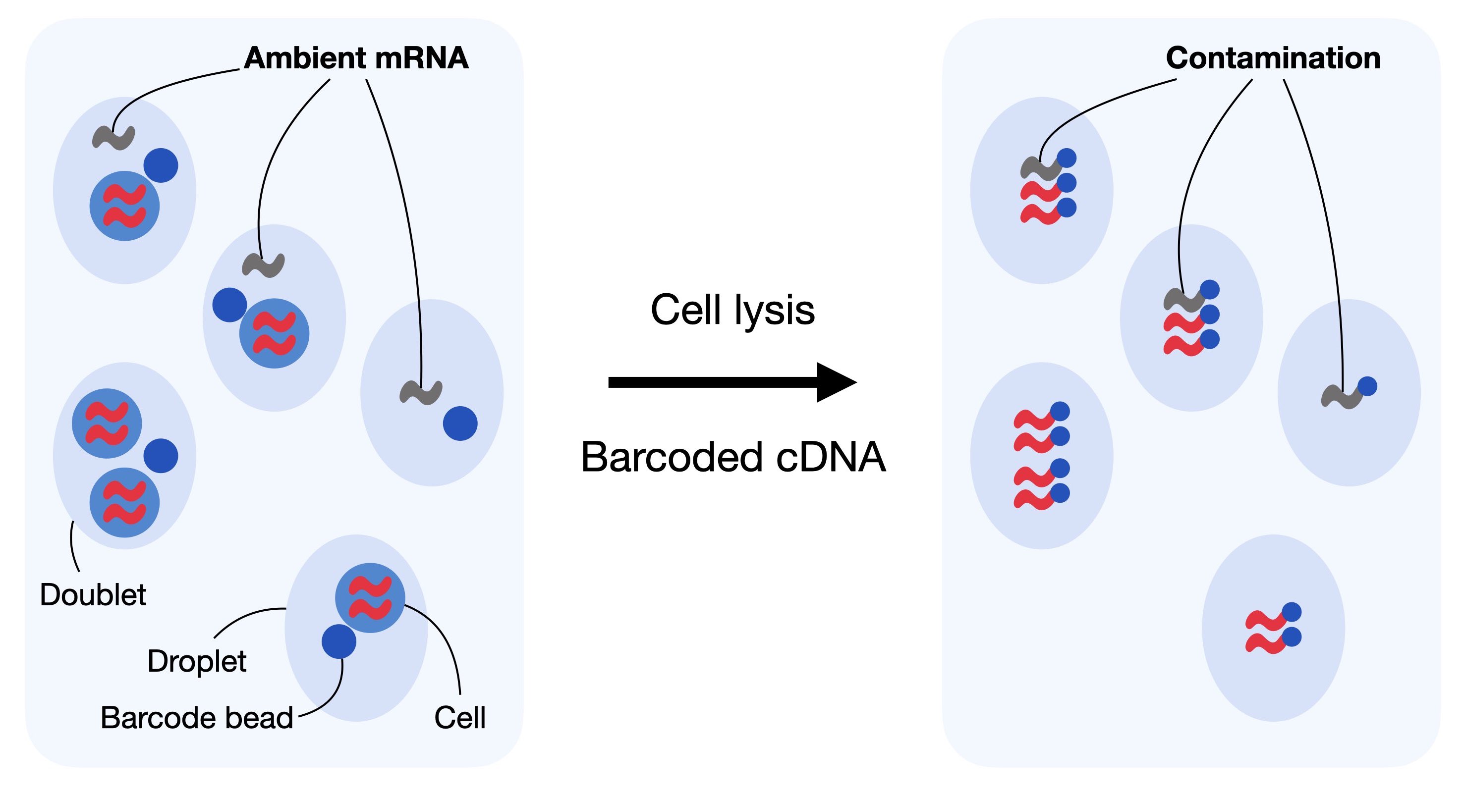Ambient RNA Overview