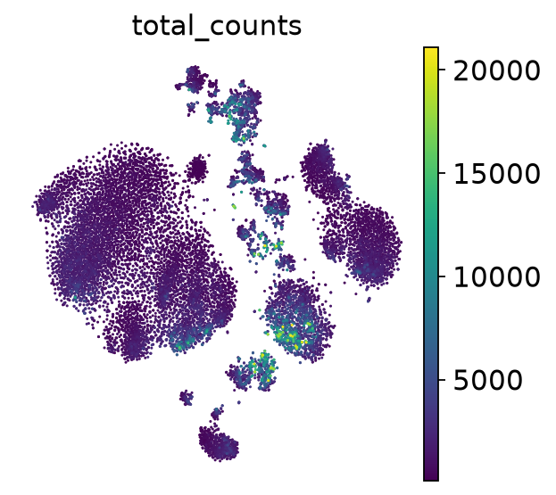 <Figure size 320x320 with 2 Axes>