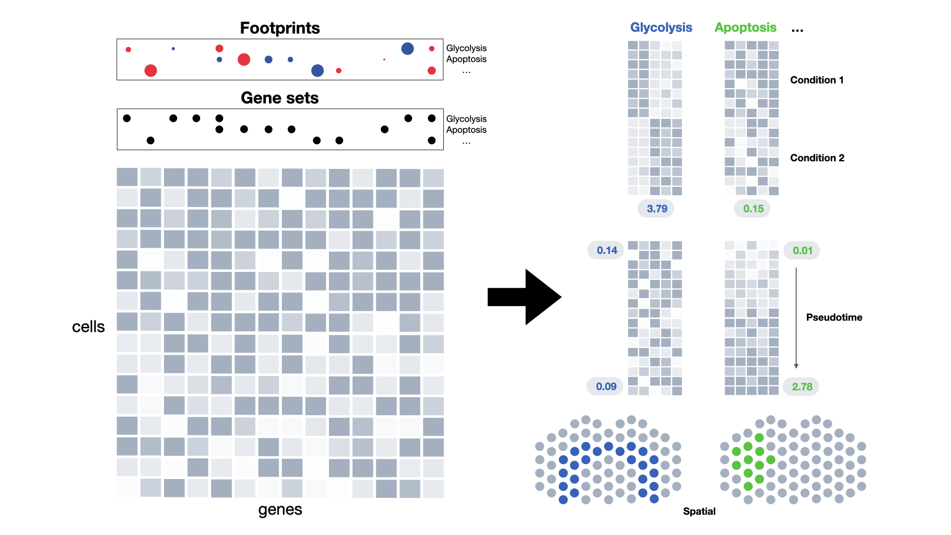 Overview of gene set enrichment analysis