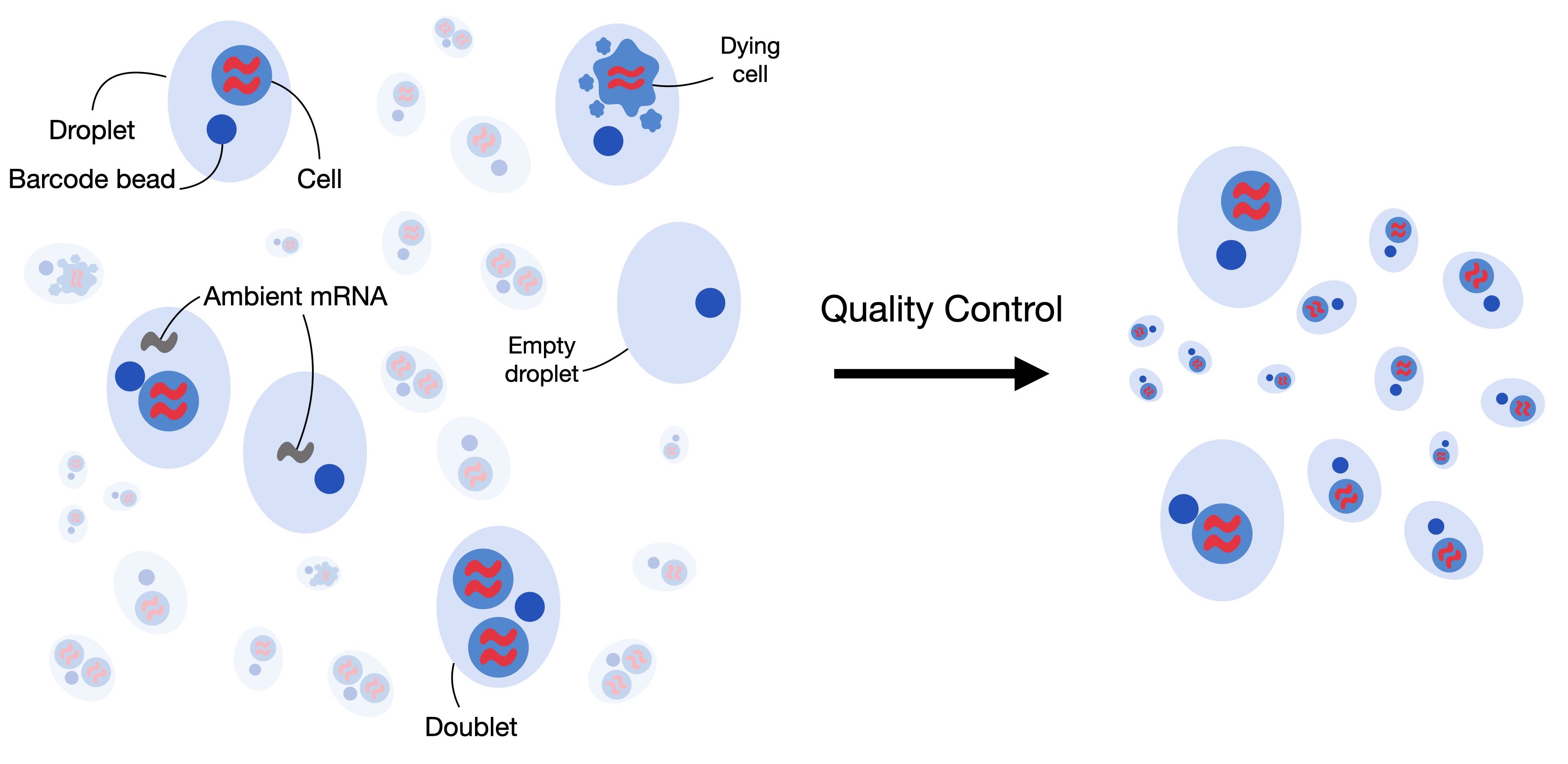 Ambient RNA Overview