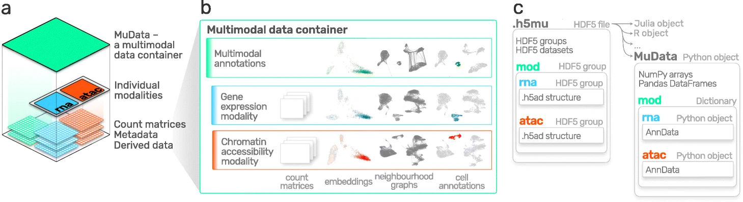 MuData Overview